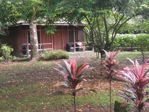 Onze verblijfplaats in Tortuguerro (Mawamba Lodge)
