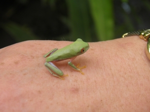 in Mawamba Lodge in Tortuguerro