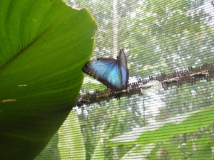 in Mawamba Lodge in Tortuguerro