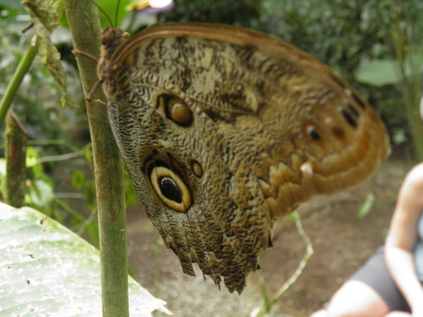 in Mawamba Lodge in Tortuguerro