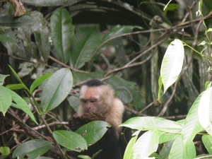 tijdens rondvaart in natuurpark Tortuguerro