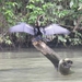 tijdens rondvaart in natuurpark Tortuguerro