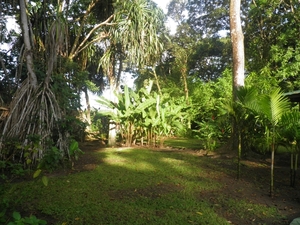 Mawamba Lodge in Tortuguerro