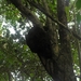 nationaal park Cahuita