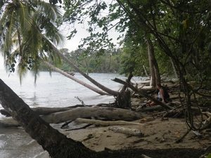 nationaal park Cahuita