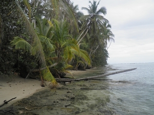 nationaal park Cahuita