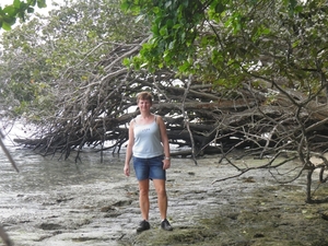 nationaal park Cahuita