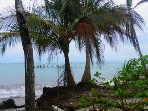 nationaal park Cahuita