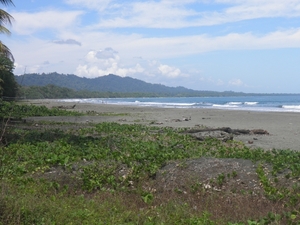 strand Cahuita