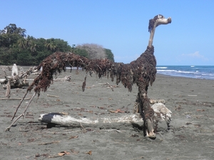 op strand Cahuita