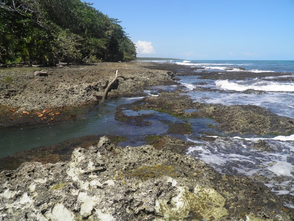 strand Cahuita