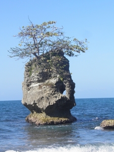 rots in zee aan strand Manzanillo