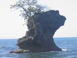 rots in zee aan strand Manzanillo