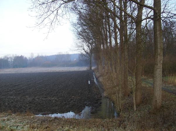 Sombeke Januari 2012 007