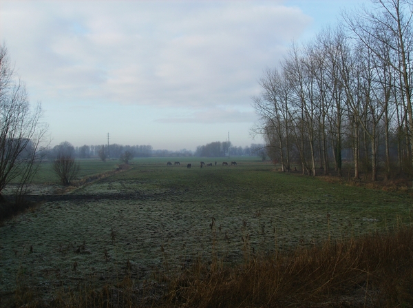 Sombeke Januari 2012 013