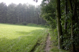 Lichtaart 17-9-2008 184