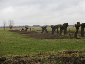 Geldermalsen, 18 februari 2012 092