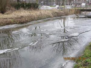 Geldermalsen, 18 februari 2012 002