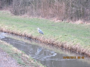 Geldermalsen, 18 februari 2012 009