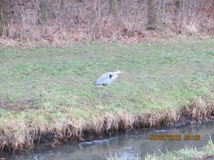 Geldermalsen, 18 februari 2012 011