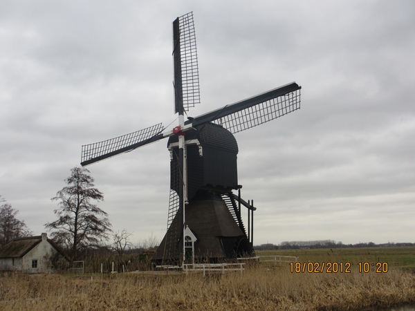 Geldermalsen, 18 februari 2012 038