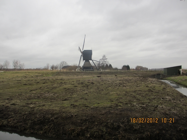 Geldermalsen, 18 februari 2012 039
