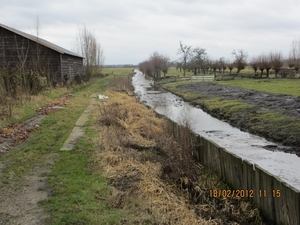 Geldermalsen, 18 februari 2012 047