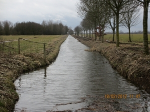 Geldermalsen, 18 februari 2012 057