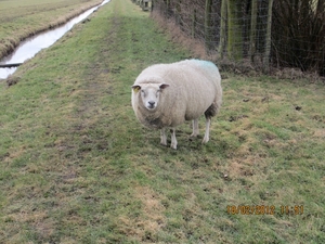 Geldermalsen, 18 februari 2012 059