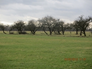 Geldermalsen, 18 februari 2012 060