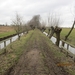 Geldermalsen, 18 februari 2012 072
