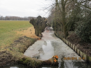 Geldermalsen, 18 februari 2012 081