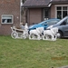 Geldermalsen, 18 februari 2012 083