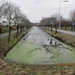 Geldermalsen, 18 februari 2012 005