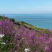 Cap-blanc-nez