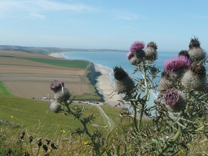 Cap-blanc-nez