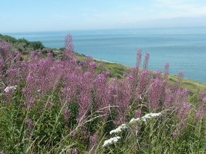 Cap-blanc-nez