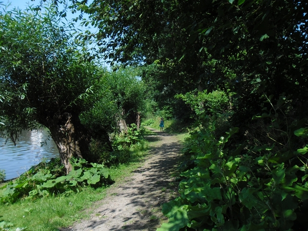 SAM_0120