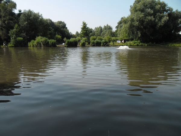 SAM_0133