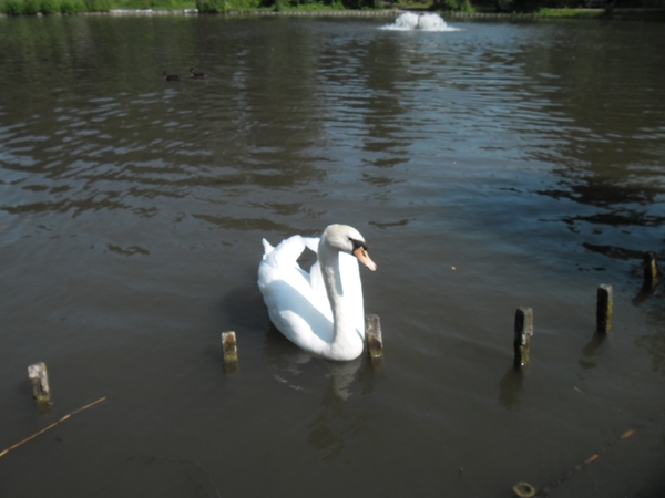 SAM_0143