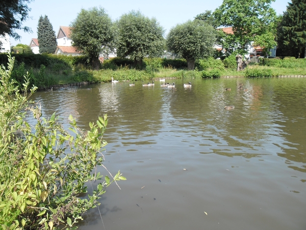 SAM_0146