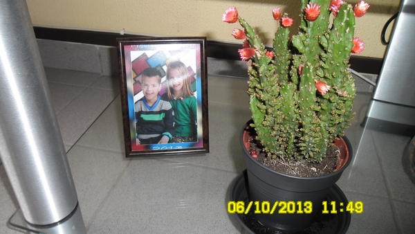 SAM_0603