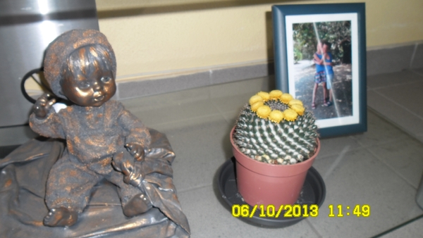SAM_0604