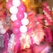490-Venoin-'t Rose Beiaard