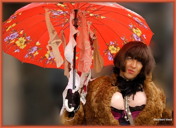 sized_sized_DSC38691a vuiljeanetten