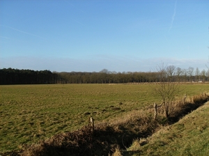 Ruiselede Februari 2012 004