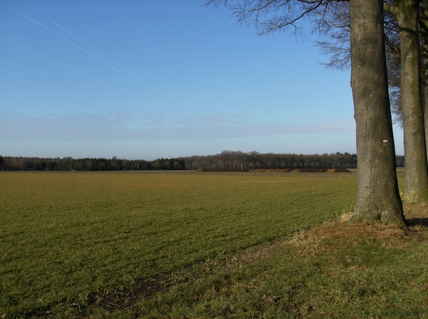 Ruiselede Februari 2012 008