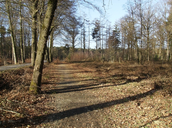 Ruiselede Februari 2012 009