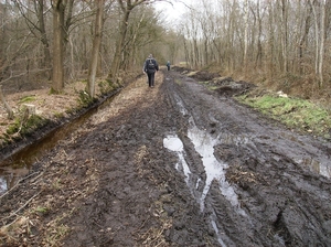Ruiselede Februari 2012 014