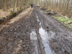 Ruiselede Februari 2012 015